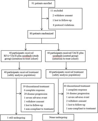 Percutaneous Radiofrequency Ablation Combined With Transarterial Chemoembolization Plus Sorafenib for Large Hepatocellular Carcinoma Invading the Portal Venous System: A Prospective Randomized Study